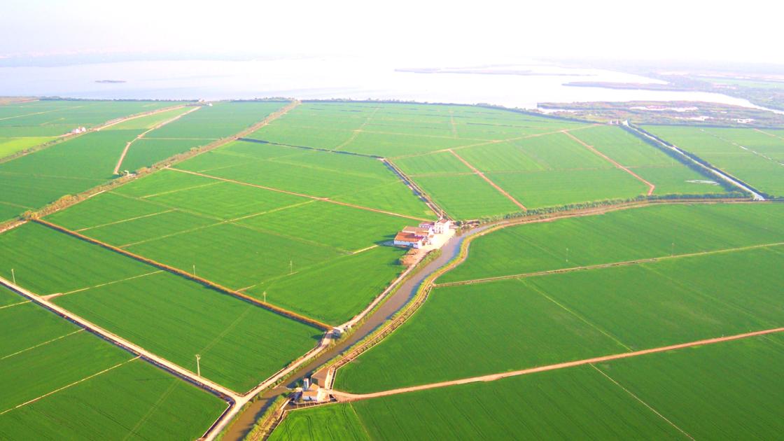 Albufera de Valencia