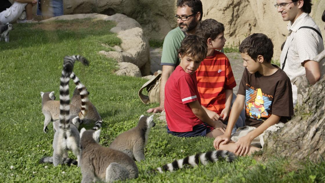 Bioparc valencia