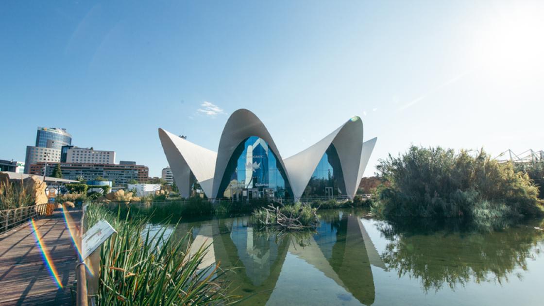 Oceanografic Valencia
