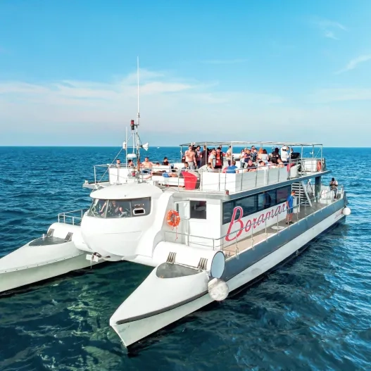 Catamarán Boramar