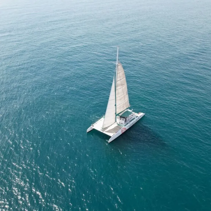 Mundo marino